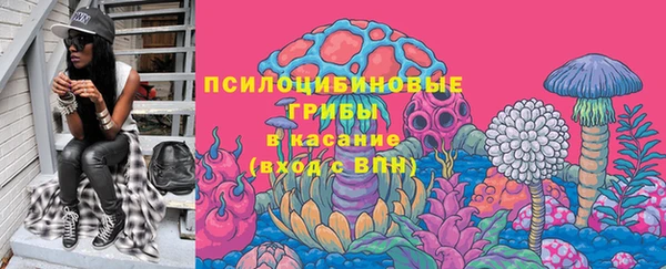 крисы Вязники